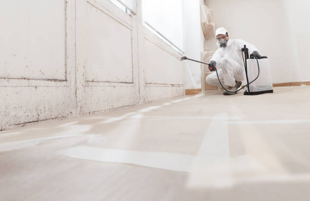 24/7 Emergency Black Mold Removal experts in Smithfield, NC