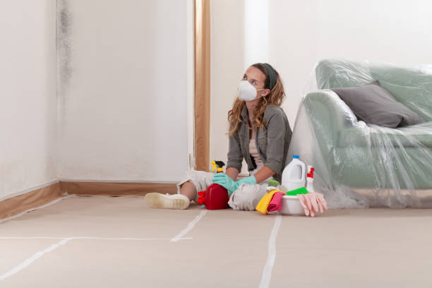 Reliable Black Mold Removal contractor in Smithfield, NC by WQB Mold Removal